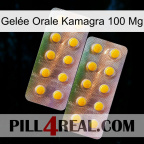 Gelée Orale Kamagra 100 Mg new10